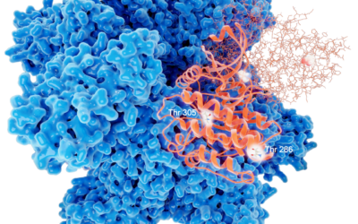 How Can Peptides Help With Your Health?