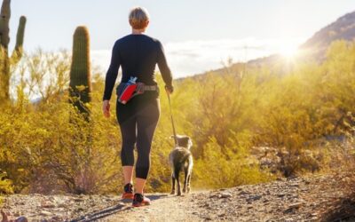 Health and Wellness in Phoenix: What Real, Root Cause Care Actually Looks Like